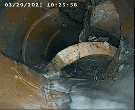 root damage in sewer pipe